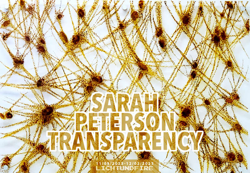 SARAH PETERSON TRANSPARENCY November @ Lichtundfire
